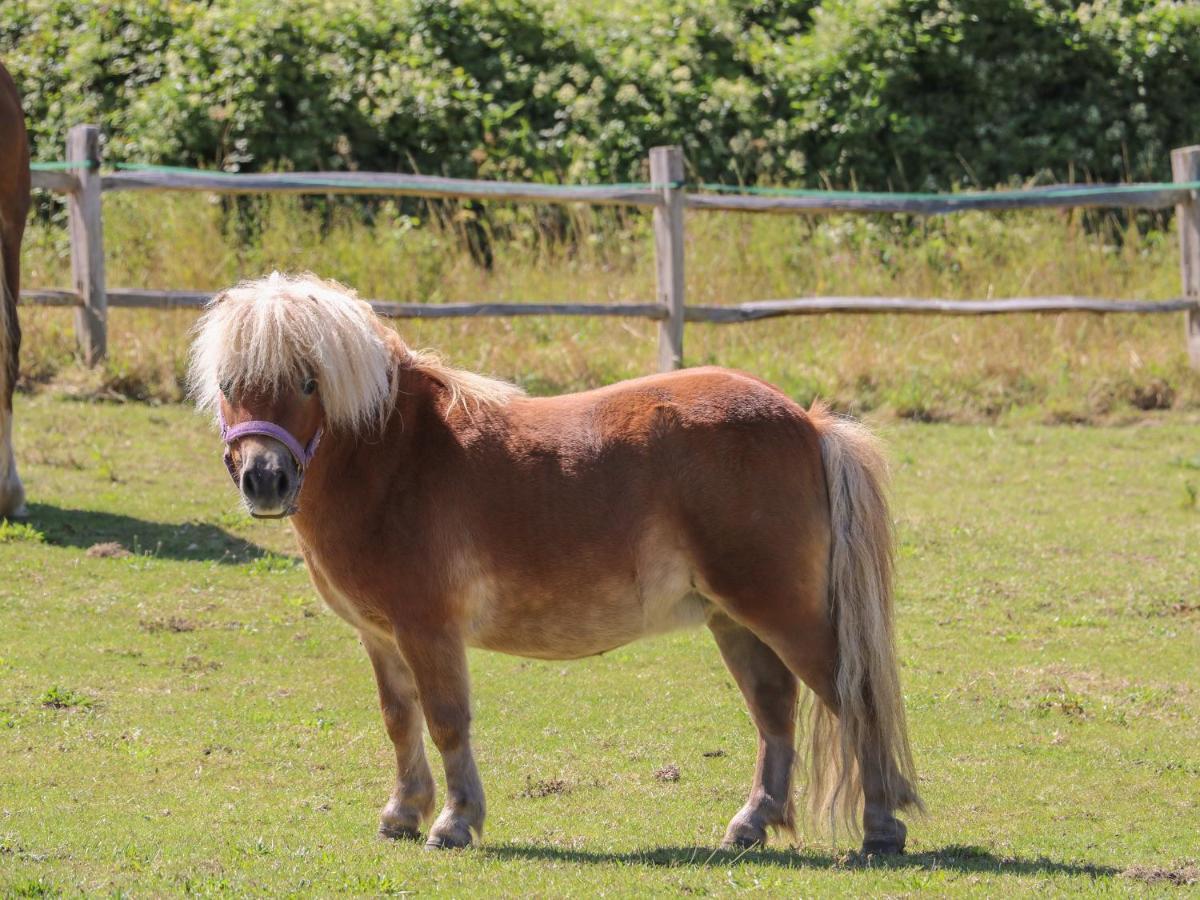 1 Paythorne Farm Cottages Henfield エクステリア 写真